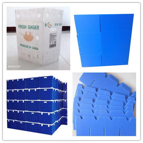 中空板，中空板周轉(zhuǎn)箱