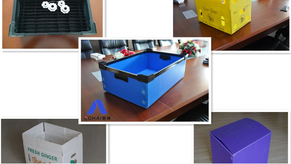 中空板周轉(zhuǎn)箱的顏色有哪些？